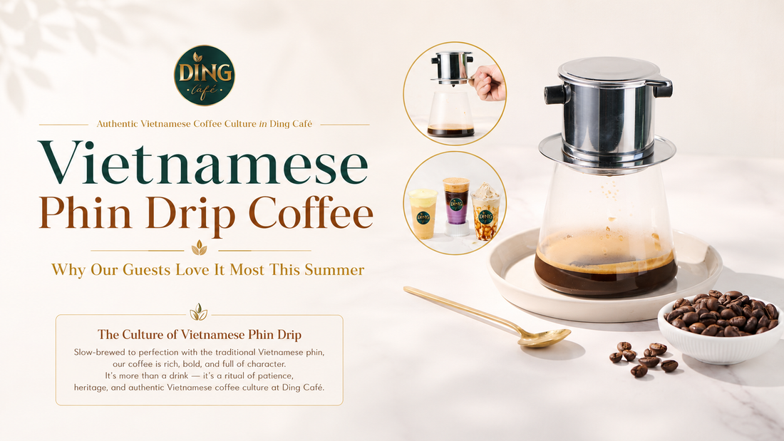 Vietnamese Phin Drip Coffee - why our fellow love it most this Summer?