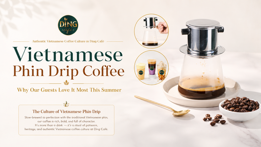 Vietnamese Phin Drip Coffee - why our fellow love it most this Summer?